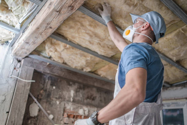 Professional Insulation Contractor in Tullahoma, TN